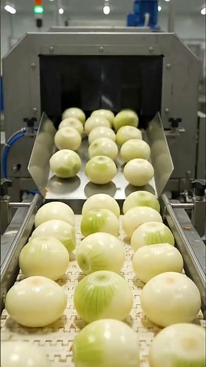 How Fresh Onions Are Processed into Powder Daily #factoryprocess #asmr