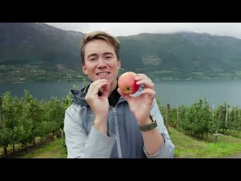 New Scandinavian Cooking - Autumn Apple Treats
