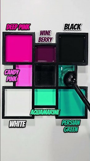 🖤🤍Black & White + Deep Pink + Persian Green