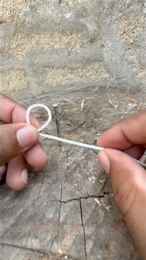 Sting Line Technique ! #knotting #rope #lifeskills #sailingknots