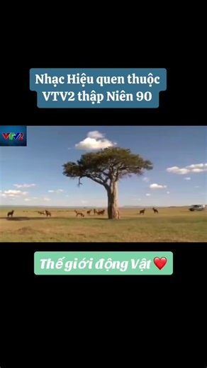 Nhạc Chiều Xưa - Nghe Radio Thư Giãn Mỗi Ngày