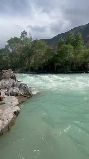 Ultimate Guide to River Trout Fishing