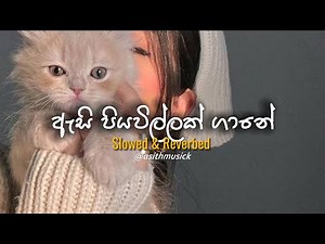 Labannata Wasanawak (ලබන්නට වාසනාවක්) - ( Slowed + Reverb ) | ( Athma Ganak )