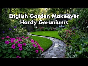 Discovered Secrets to Making Your English Garden BLOOM with Hardy Geraniums