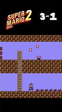 Super Mario Bros 2. 3-1
