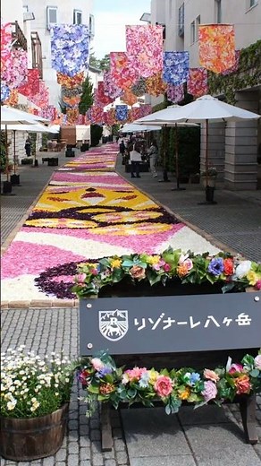 【GW直前】花の回廊を歩く🌷リゾナーレ八ヶ岳 2026｜flower corridor