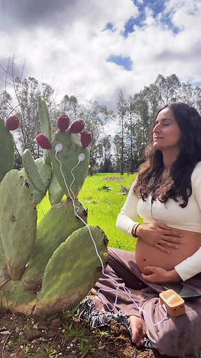 Discover PlantWave: The Plant Music Device