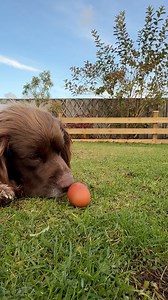 And a boiled egg for Tally | Max Out in the Lake District