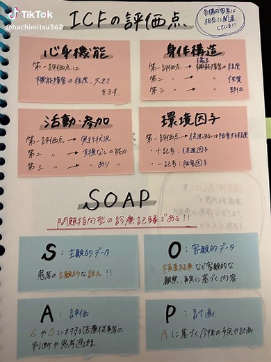 理学療法士試験対策の勉強法とノート作成