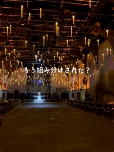 もう組み分けされた？🪄 今だけ！ 大広間の組み分け帽子の儀式や 魔法の授業まで体験できる✨ 限定フードも忘れずに🍕 ホグワーツからの招待状 行く人はチェック🦉 @wbtourtokyo @harrypotter_japan #スタジオツアー東京 #wbtourtokyo #ハリーポッター #harrypotter #としまえん