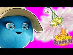 Videos For Kids | Sunny Bunnies MAGIC FLOWER | SUNNY BUNNIES COMPILATION