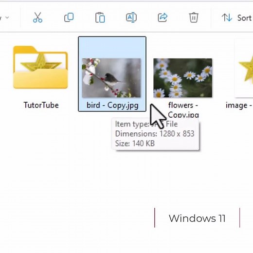 Windows 11 Renaming Files