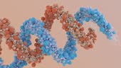The animation concept illustrates the emergence of new genes from...