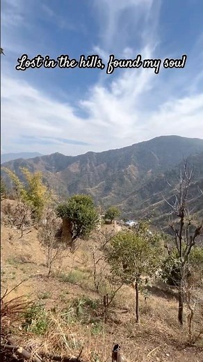 Lost in the beauty of Pauri Garhwal | Uttarakhand | Beautiful View | Mountain #garhwal