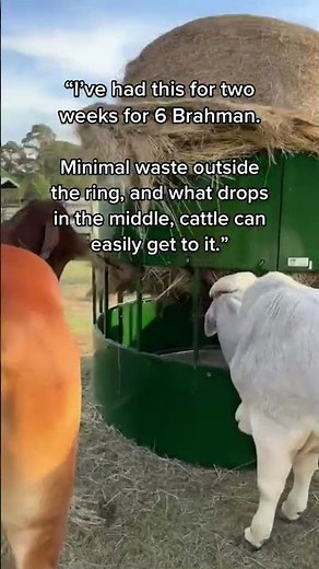 The Guardian Bale Feeder | Arrowquip