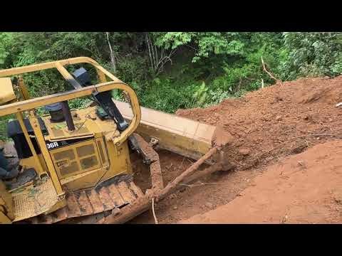 Effective Land Clearing for Palm Oil Plantations Using a D6R XL Bulldozer