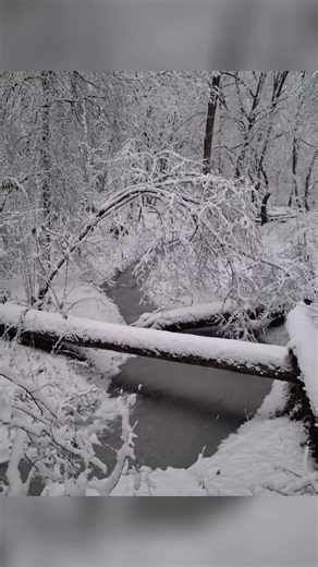 ✨ The Road to Narnia – illustrations inspired by C.S. Lewis’s timeless classic “The Lion, the Witch and the Wardrobe.” In these drawings, I wanted to capture the dark, mysterious, yet familiar atmosphere hidden behind the wardrobe door. The contrast of black and white perfectly expresses the duality of this story. Today’s first real November snowfall inspired me to revisit these illustrations. 🎨 Artist: Andrzej Masianis 🖼️ Illustration for “The Lion, the Witch and the Wardrobe” 📏 Technique/Fo