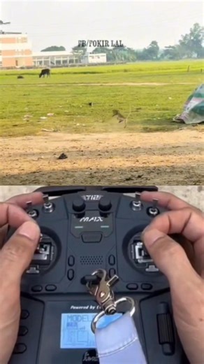 Drone Prank In Village Funny 🤣 || Drone Prank With Cat 🤣 || #shorts #drone #prank #funny