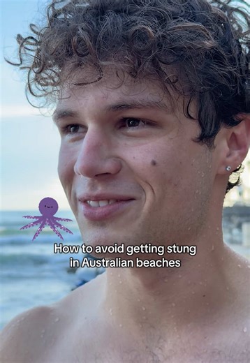 Avoiding Blue Bottles While Swimming at Manly Beach
