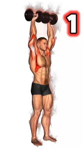 The best effective exercises for building shoulder muscles