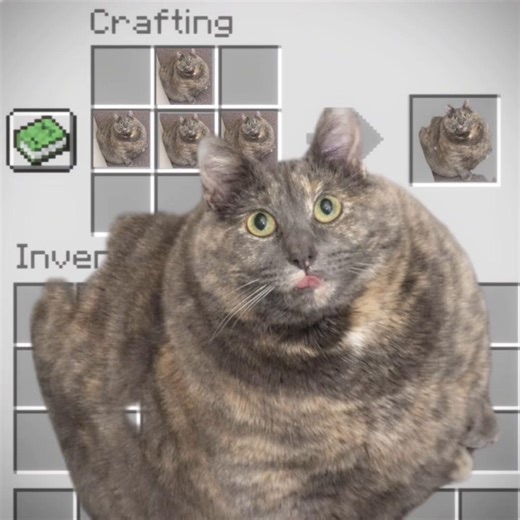 Create a Minecraft Cat Video with Trending Audio