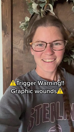 ChickenSchmidtFarms on TikTok