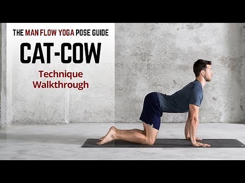 Cat Cow Pose Basics | Get the Alignment Right