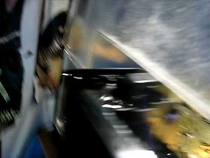 TWO COMMON SNAPPING TURTLES EAT A LIVE MOUSE