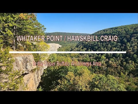 Hike to Whitaker Point (Hawksbill Crag) in the Arkansas Ozarks
