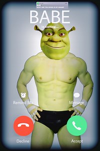 View 15 Shrek Funny Pfp Pics