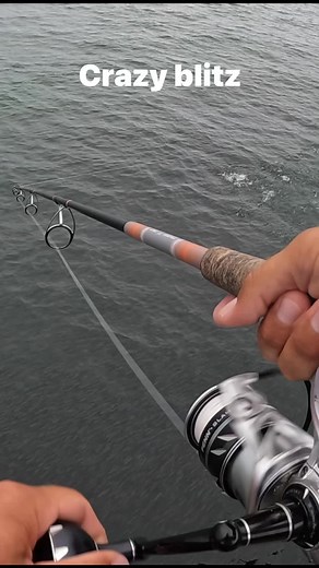 Crazy fish blitz at the pier! #fishing #pierfishing #fish #blitz #pier #saltwaterfishing | Bearded Brad