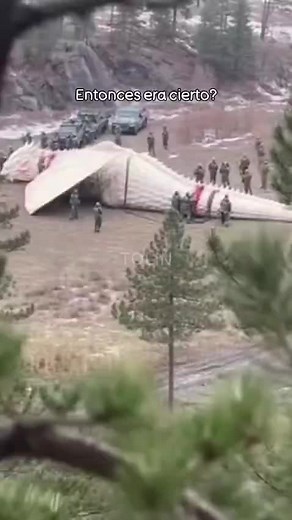 ¿Existieron los dragones realmente?