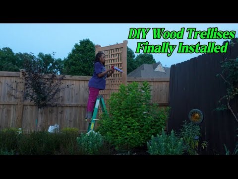Installing two DIY Wood Trellises and Planting two Eden Climber Roses | Heirloomroses.com unboxing