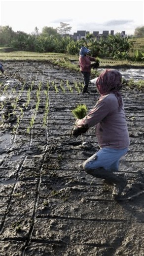 clip-4135103659-malang-east-java-indonesia---july-23