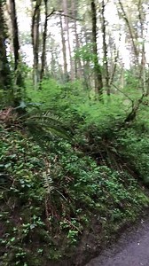 2.3K views · 163 reactions | Today was the first day of the year in...