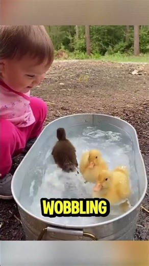 RANKING 5 CUTEST BABY ANIMALS IN THE WORLD