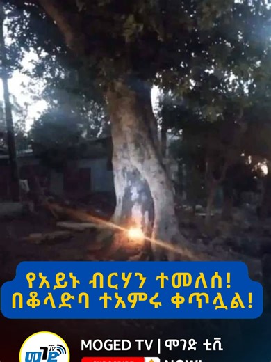 በቆላድባ ተአምሩ ቀጥሏል! #ቆላድባ #koladiba #kbnews #ethiopian_tik_tok🇪🇹🇪🇹🇪🇹🇪🇹 #ethiopian_news #ጎንደር#ቆላድባ#ኪዳነምህረትእናቴ #CapCut #ኦርቶዶክስ⛪ተዋህዶ⛪ለዘለዓለም🙏ትኑር🙏 #viraltiktok #ethiopian_tik_tok🇪🇹🇪🇹🇪🇹🇪🇹 #tigraytiktok🇻🇳🇻🇳tigraytiktok