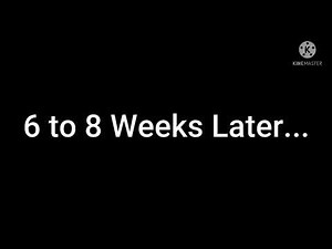 Blue’s Clues Mailtime Song Bloopers #8 (for Jack Sablich)