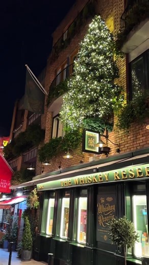 The Stunning glow of The Temple Bar as it lights up Dublin City's skyline ✨🎄 Come see the most festive pub in town! 😍🎅🤶✨⭐️ #thetemplebar #templebar #dublinireland #pubgmobile #tourismireland #ireland #FestiveVibes #irishtradition #visitdublin #holidayseason #wintermagic #irishpubs | This is Ireland's Music