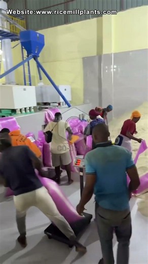 Rice Sorter | Rice Color Sorter | Rice Sorting Machine for Rice Mill Plant #ricecolorsorter
