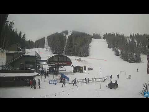 SNOW IN AZ! Watch live as snow falls in Snowbowl