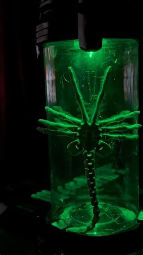 ALIEN ROMULUS FACEHUGGER LED DISPLAY