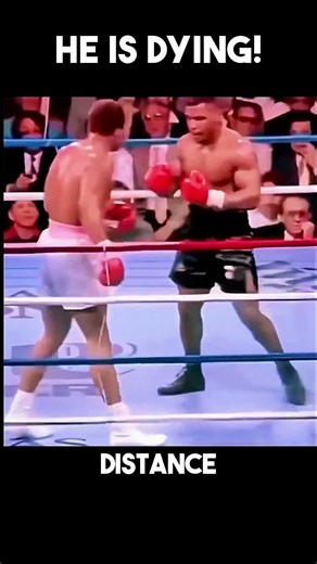 Brutal Heavyweight Mike Tyson #boxing #knockout #boxinghighlights