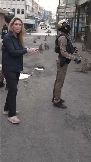 Monkey gangs at war with police as they take over city in Thailand