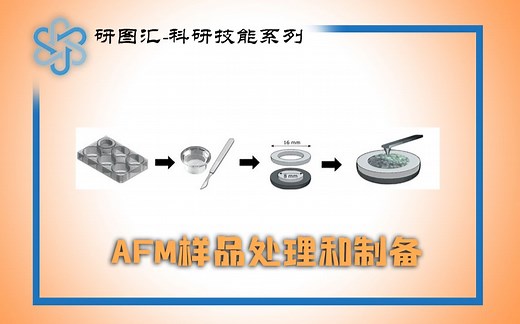 【科研技能】AFM制样教程