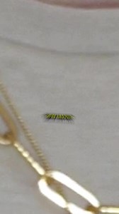 85K views · 1.4K reactions | ✨ Découvre 3 sites gratuits et...