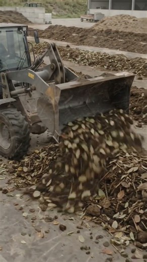 How Fallen Leaves Are Turned Into Organic Compost 🍂➡️🌱