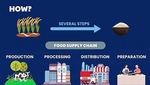 Keeping food safe! - The basics of food safety