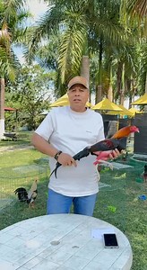 Feliz Año Nuevo y Bendiciones a Todos mis Amigos y Seguidores del Mundo 🙏🏾👍🏽 | Fabio Rodriguez