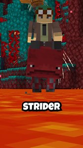 7.1K views · 107 reactions | FLYING Strider in Minecraft #minecraftmods #minecraftmemes #minecraft #minecraftpe #minecraftbuilds | SeaWattgaming | Facebook